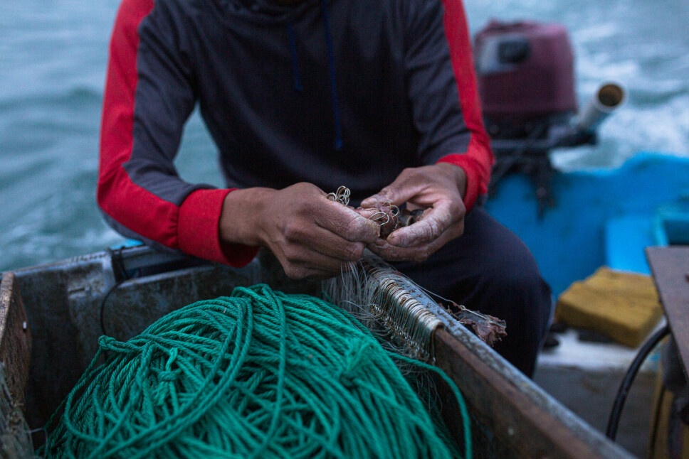 Småskalafiskere investerer i gjennomsnitt mellom 15 og 20 dollar per fisketur, inkludert bensin og agn til krokene på fiskeutstyret de bruker. Fiskerne med mindre båter bruker vanligvis to liner med til sammen 350 kroker.