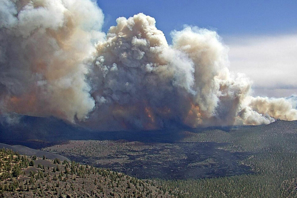 Forskere advarer om at skogbranner kan bidra til å øke klimagassutslippene, som igjen øker temperaturene og dermed faren for nye skogbranner. Her fra en brann i nærheten av Flagstaff i den amerikanske delstaten Arizona i april.