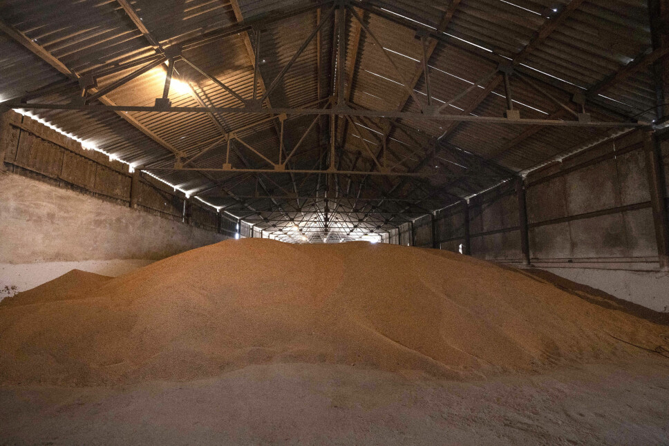 Krigen i Ukraina gjør at verdens to største eksportører av hvete ikke eksporterer vanlige mengder hvete. Det er en av årsakene til den globale sultkrisen. Bildet er fra et hvetelager i nordvest i Ukraina.