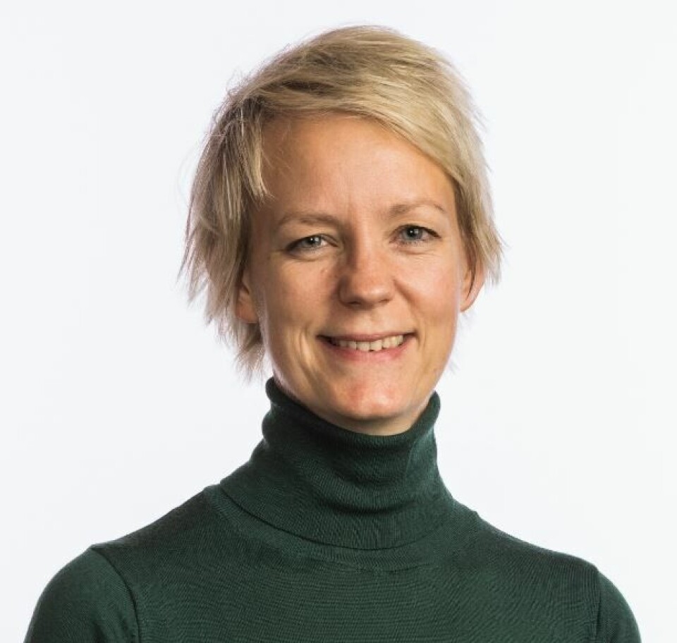 SVs utviklingspolitiske talsperson Ingrid Fiskaa. SVs utviklingspolitiske talsperson Ingrid Fiskaa.