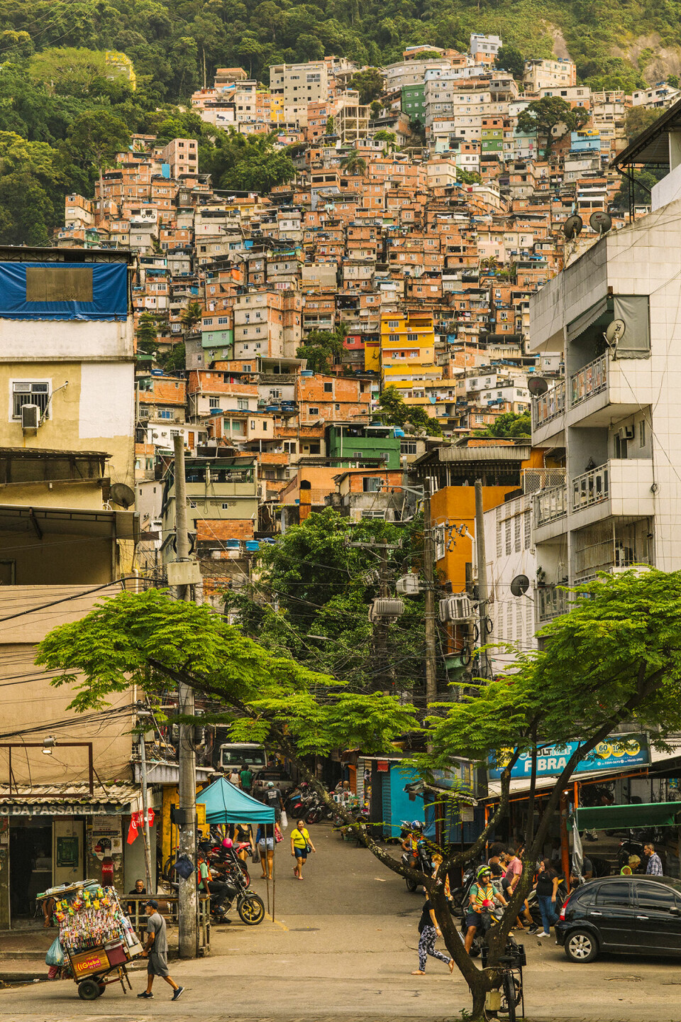 I Rio de Janeiros favelaer bor folk tett. Dengue, chikungunya og zika overføres av Aedes Aegypti og Aedes Albupictus, to myggarter som er vanlige i varmere strøk.