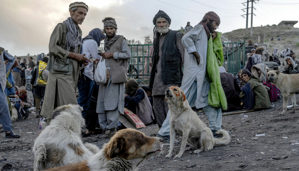 Hundrevis av rusavhengige afghanere samles på ulike steder i Kabuls utkanter for å ruse seg på narkotika, for det meste heroin og metamfetamin. Rusavhengighet i Afghanistan er et stort og økende problem.