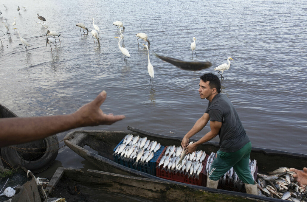 Forurensning skaper problemer for de som lever av fiskeri i Magdalena-elven og sumpene i området.