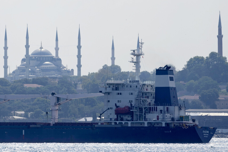 Lasteskipet Razoni seilte gjennom Bosporosstredet ved Istanbul for to uker siden. Nå er senderen som kringkaster skipets posisjon, skrudd av, og det er ukjent hvor Razoni og lasten på 26 000 tonn mais fra Ukraina befinner seg.