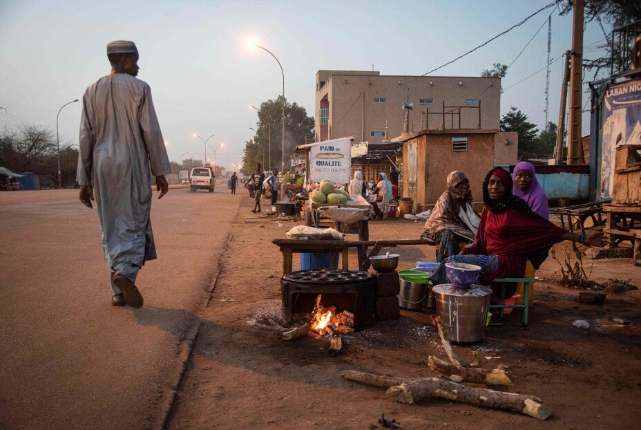 Ved siden av mineralressurser, eksporterer Niger jordbruksprodukter som kveg og dyreskinn, peanøtter og løk. Jordbruket er imidlertid svært sårbart for tørke, og dårlige år gjør at landet må importere mat. Her selges mat langs en hovedvei i Nigers hovedstad Niamey.