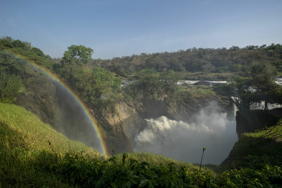 På bildet ser det idyllisk ut, en vakker regnbue er dannet på toppen av fossefallene i Murchison Falls nasjonalpark nordvest i Uganda. Men Afrikas nasjonalparker sliter. Nye, store infrastrukturprosjekter og klimaendringer gjør livet vanskelig for mange plante- og dyrearter.