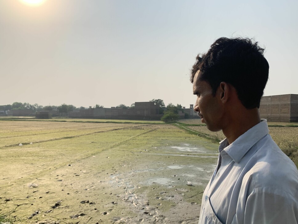 Nawroz Khan ser utover jordet sitt på 40 mål, som nå er dekket av gjørme og vann, i Khyber Pakhtunkhwa-provinsen.