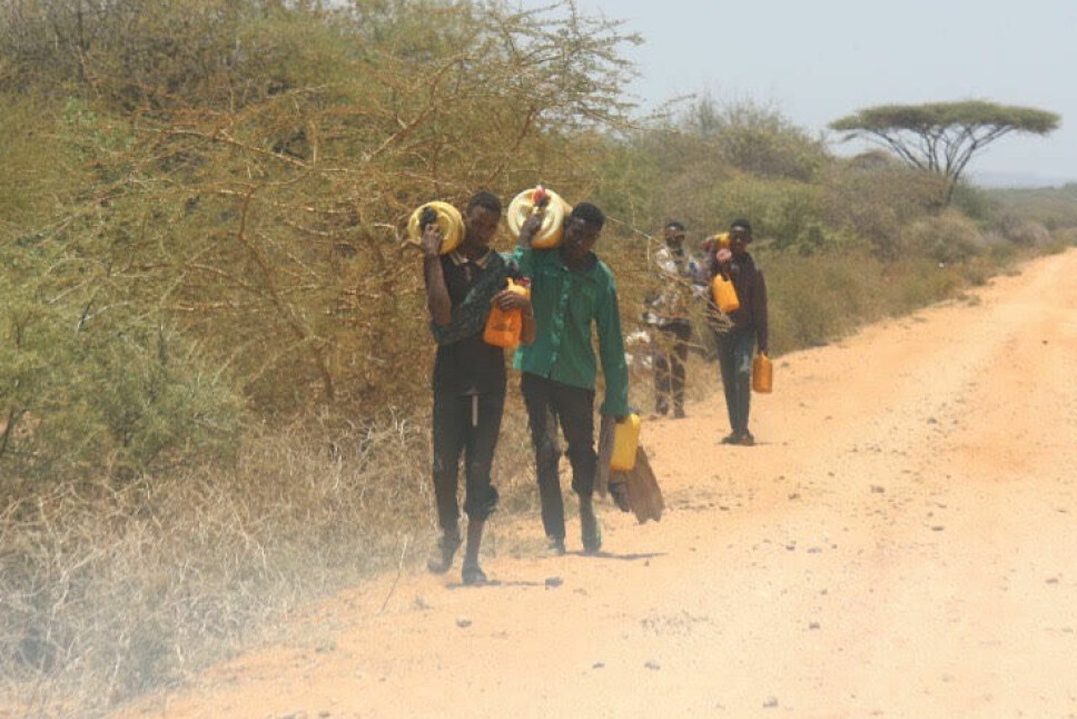 Distansene for å hente vann er ofte lange i rurale områder i Oromia. Tidligere har det vært vanlig å bruke kameler og esler for å frakte vannet, men flere og flere må ta beina fatt siden tørken har tatt livet av dyrene.