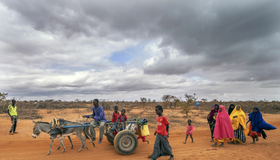Mohamed Ahmed Diriye (60) ankommer leiren for internt fordrevne i Dollow sør i Somalia etter to ukers reise. Med seg har han sine to gutter på fire og fem år. Vi flyktet fra tørken, men kom til den samme tørken her, sier han. Over en million somaliere er nå rammet av den verste sulten og tørken på mange år.