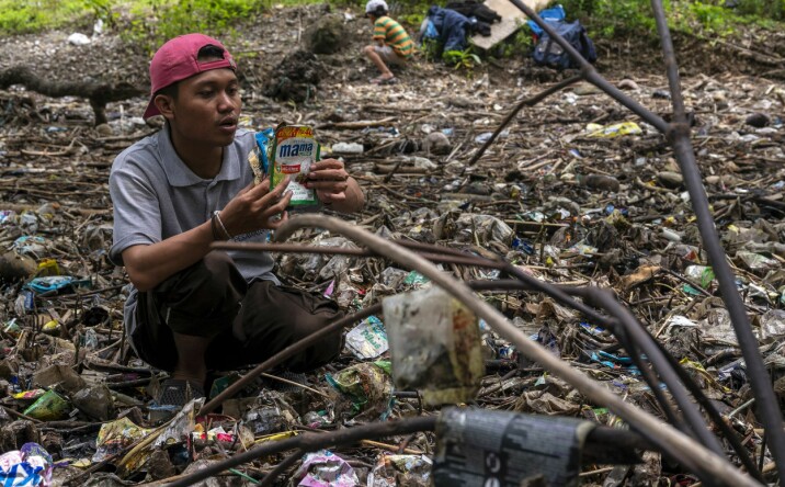 En miljøaktivist plukker plast i et mangroveområde i Kabonga Besar, Indonesia. Lorelou Desjardins i Norad mener at det å bevare blå skog, som mangrover, er en nøkkel i kampen mot klimaendringer, fattigdom og matusikkerhet.