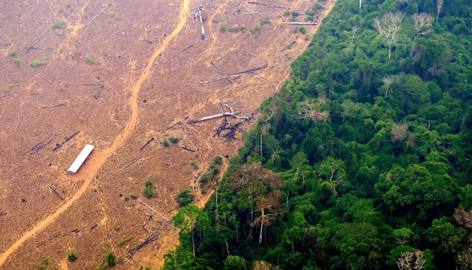 Valget av Lula da Silva som ny president i Brasil gir nytt håp for å stanse avskogingen i Amazonas, mener Regnskogfondet. Norge vil raskt ta kontakt for å gjenoppta regnskogsamarbeidet, melder NTB.