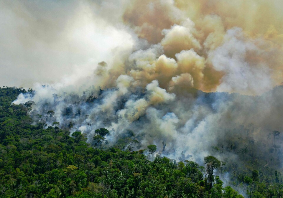 Et område større enn Qatar ble ødelagt i den brasilianske delen av regnskogen mellom august i fjor og juli i år. Bildet er tatt i august 2020.