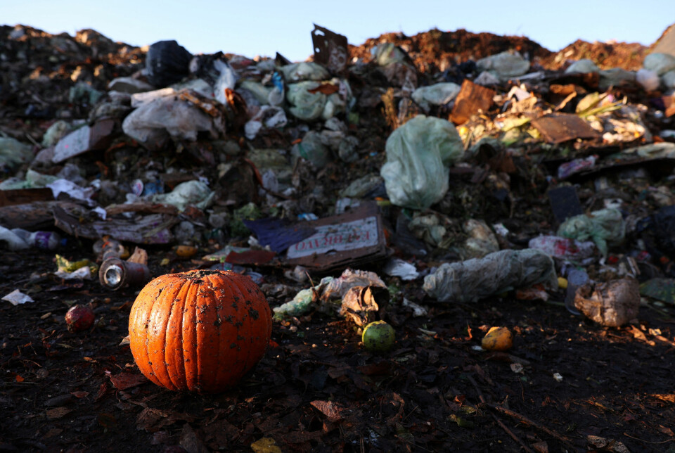 Hvert år kaster verden rundt 931 millioner tonn mat, og mesteparten havner på søppelfyllinger hvor det blir liggende å råtne og slippe ut klimagassen metan. Ett av landene som kaster mest mat per innbygger, er USA. Bildet er fra et komposteringsanlegg i California i november i år. Foto: Brittany Hosea-Small / Reuters / NTB