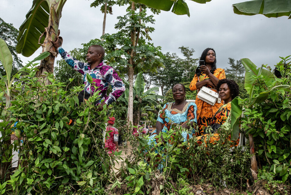 På FNs internasjonale dag for kvinner i rurale områder, 15.oktober, satt kvinner i Nguibassal, Kamerun, søkelys på utfordringer og hvordan de selv kan bidra til å bekjempe matusikkerhet og fattigdom. Foto: Giordanno Brumas / SOPA / NTB