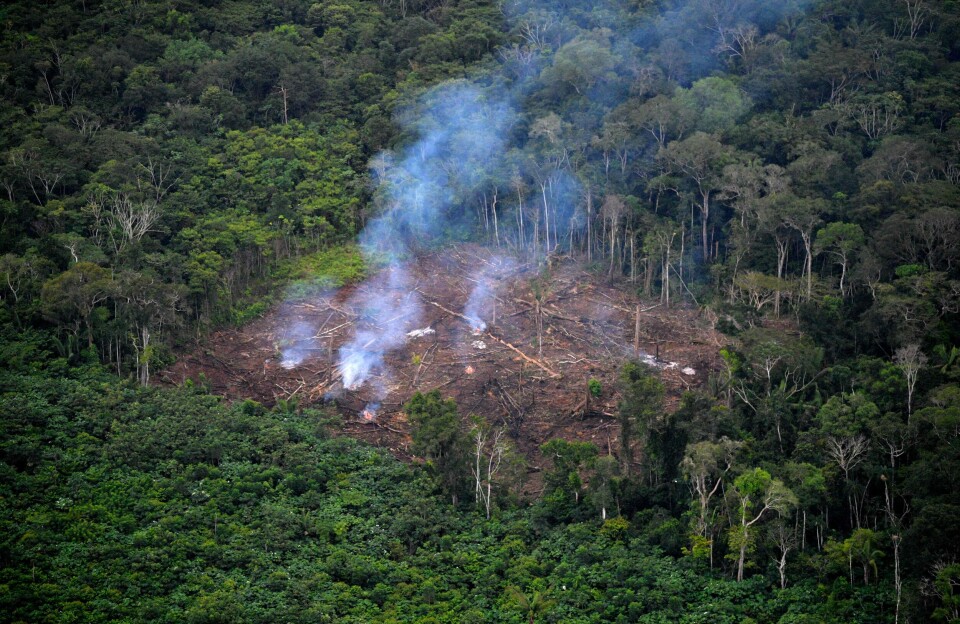 Ulovlig avskoging av regnskogen i Colombia. Bildet er tatt i september 2020. Foto: Raul Arboleda / AFP / NTB