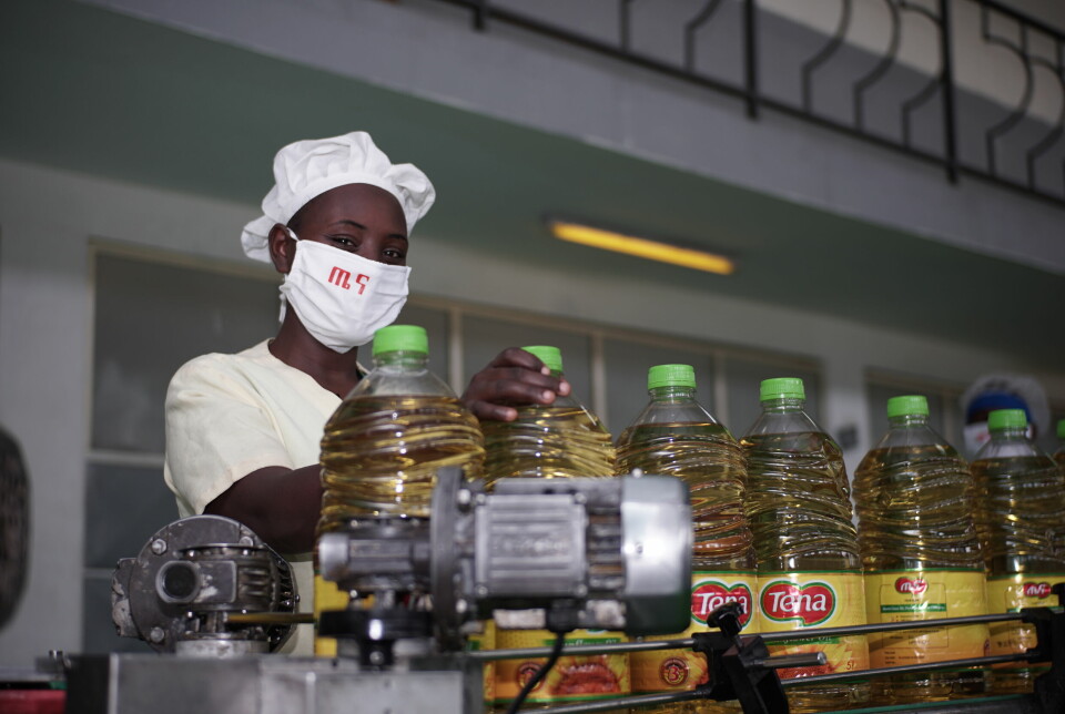 Norfund investerer nå i et etiopisk selskap for å øke produksjon av matolje i landet. Foto: Samanu / Norfund