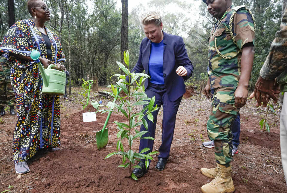 – Formålet med strategien er å tegne kartet så det ligner mer på terrenget, sa utviklingsminister Anne Beathe Tvinnereim da Norges nye Afrika-strategi ble lansert mandag. Her deltar Tvinnereim på treplanting i Karura Forest.