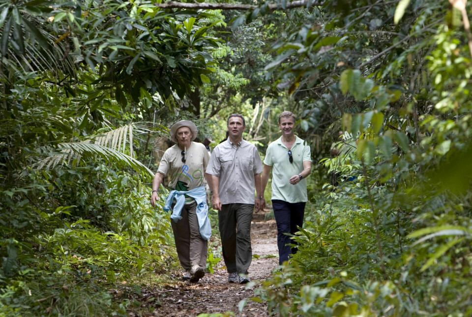 During his visit to Brasil in 2008, Norways priminister at the time, Jens Stoltenberg, announced that Norway intended to donate one billion USD to perserving the rain forest in Brasil.