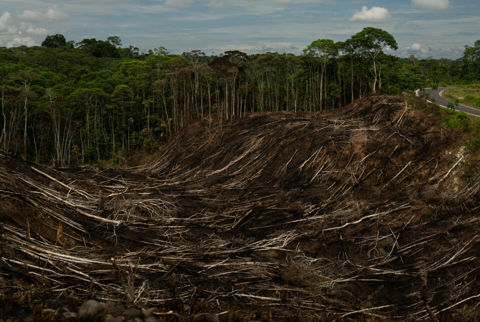 The climate foundation Climate Advisers Trust received around NOK 20 million to create an online tool that would contribute to greater transparency about companies that contribute to deforestation in poor countries. In the meantime, the tool never became publicly available, as planned. The picture shows destroyed rainforest in Ecuador, which is among the countries that receive support through the Norwegian forest initiative