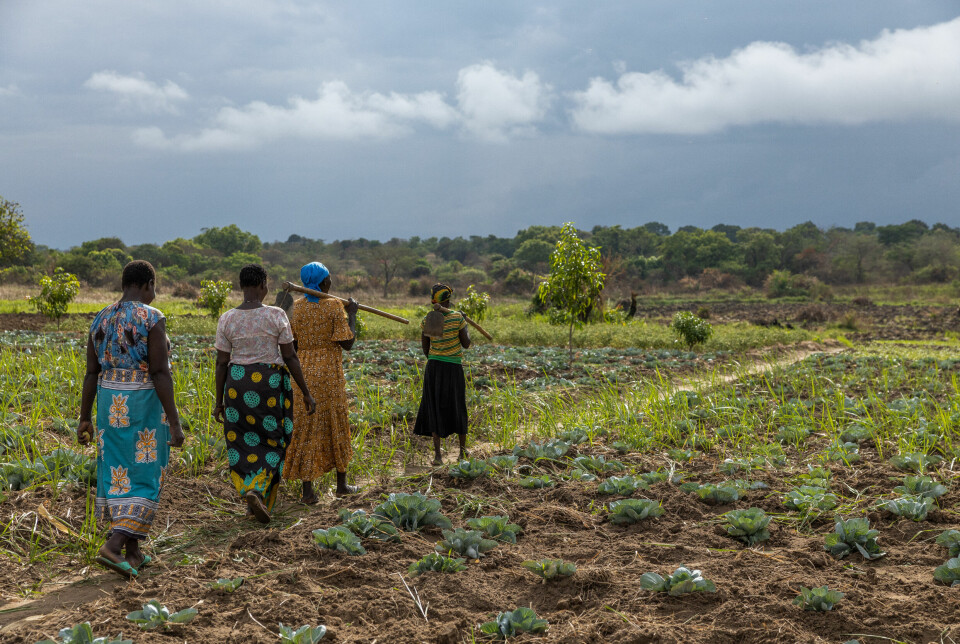 I den sørlige delen av Sør-Sudan har kvinnene kommet tilbake etter år på flukt. I dag driver de jordbrukskollektiv som forsørger familiene. Drivkraften bak jordbruksgruppene er organisasjonen Titi Foundation, som med matsikkerhets-programmer håper å bidra til en bedre hverdag for hjemvendte flyktninger.