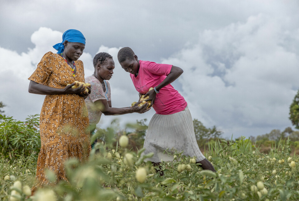 Margret Bonsuk (t.v)) driver med jordbruk på fulltid sammen med et 20-talls andre kvinner i Kajo Keji. Etter mange år som flyktning i nabolandet Uganda er hun endelig hjemme i Sør-Sudan. Jordbrukskollektivet hun er en del av hjelper henne å betale skolepenger for barna.