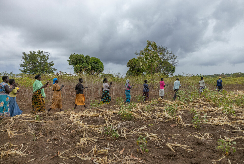 Kvinnene i jordbrukskollektivet synger når de går ut på åkeren. Sangene handler ofte om jorden og hvordan den gir håp om en bedre fremtid.