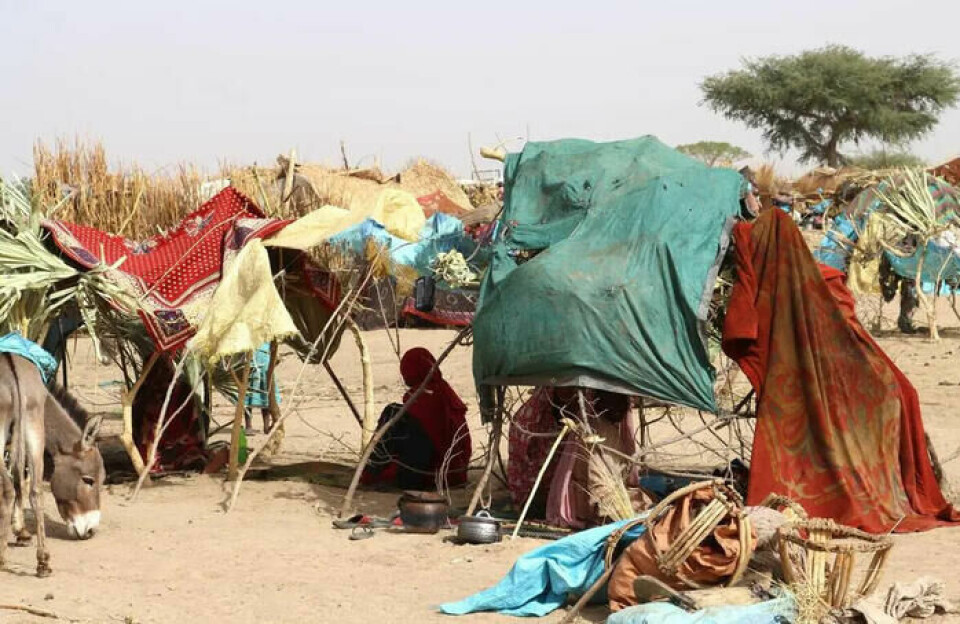 I løpet av de siste dagene har anslagsvis 20 000 mennesker flyktet fra Sudan til Tsjad, ifølge UNHCRs team som er til stede ved grensen. Flertallet av de som ankommer er kvinner og barn, som for tiden holder ly ute i det fri. Behovene for de ferske flyktningene i et av verdens fattigste land, er enorme, ifølge FN-organisasjonen. Før konflikten i Sudan eskalerte sist uke, bodde allerede rundt 400 000 Sudan-flyktninger i det østlige Tsjad.