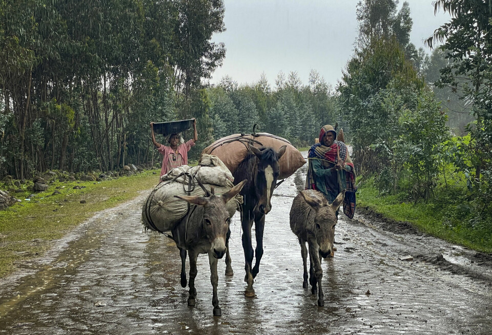 Krig, konflikter og naturkatastrofer driver stadig flere mennesker på flukt i eget land, viser ny rapport fra Flyktninghjelpen. Bildet er Amhara-regionen i Etiopia.