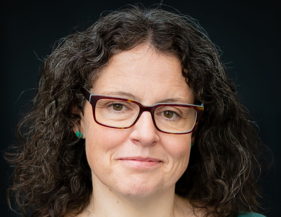 Arnhild Leer-Helgesen, førsteamanuensis i globale utviklingsstudier ved Universitetet i Agder og leder for Norsk forening for utviklingsforskning.