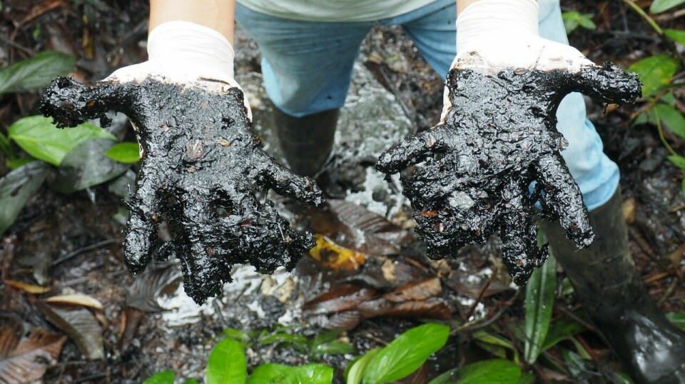 Jorden i Lago Agrio i Ecuadors del av Amazonas er innsmurt av klissete, svart og tykk olje.