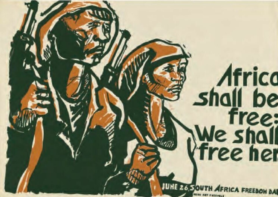 Medu Art Ensemble, der Judy Seidman var med, lagde flere plakater om frigjøringskampen. Men de signerte aldri plakater for å unngå at de ble et mål for apartheidregimet.