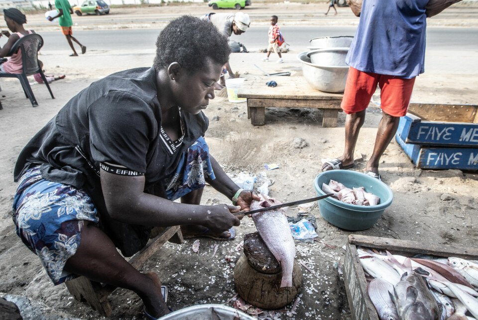 Fiskehandler Rebbeca Kwansah tar seg av fisken som Alfred Ofore Kae og Samuel Otoo har tatt med seg tilbake etter dagens tur.