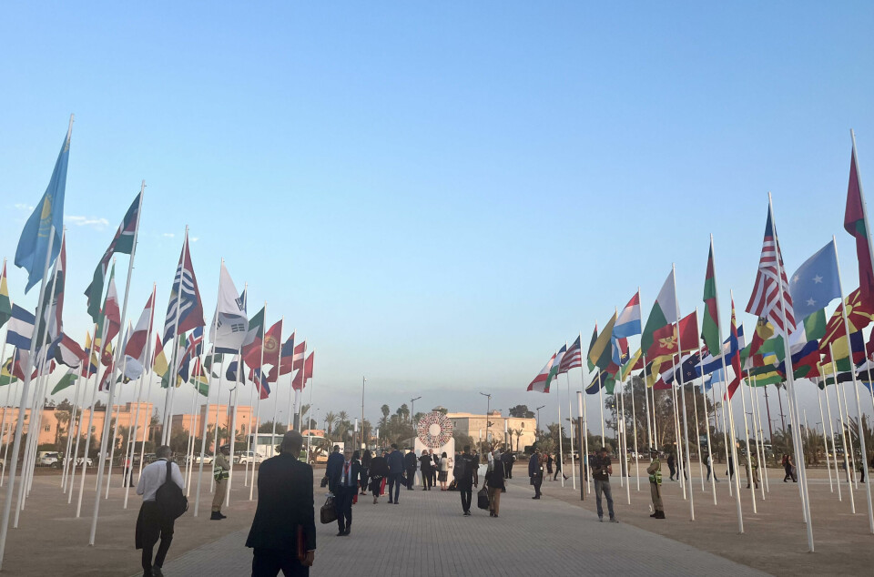 Verdens ledere, banksjefer, eksperter og sivilt samfunn møttes på Verdensbanken og Det internasjonale pengefondets toppmøte i Marrakech 9.–15. oktober.