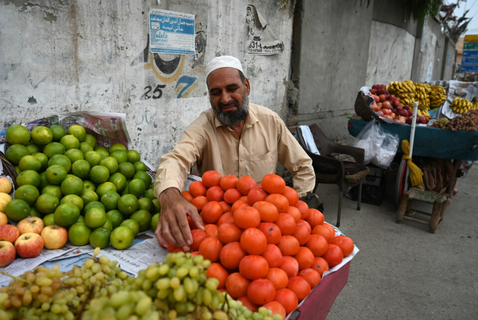 Mohammad Nadar (48) livnærer seg selv og familien ved å selge frukt.
