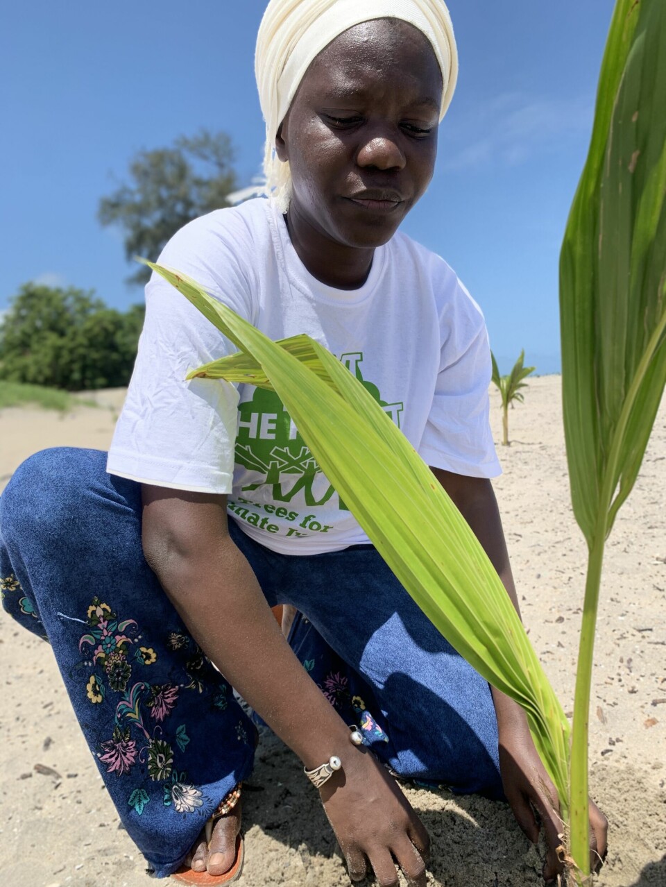 Sammen med partner Future Proof Banjul har Fatou Jeng og hennes organisasjon bidratt til å plante 11 000 kokosnøtttrær ved Banjul Beach i Gambia.