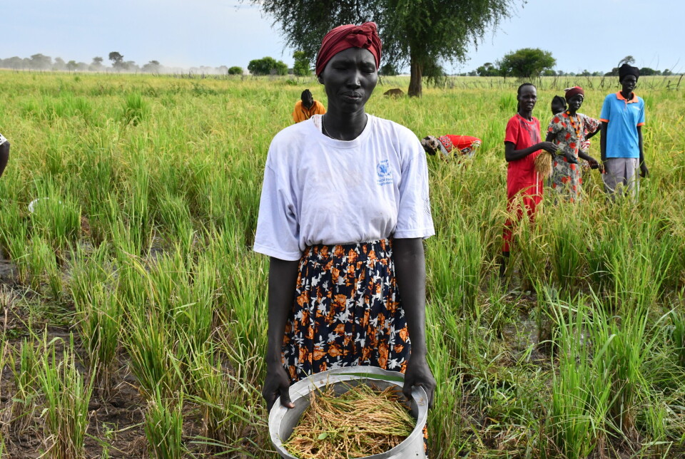 Alek Ngong har gått over til å dyrke ris på gården sin, som ligger i flomutsatt område i Twic County i Sør-Sudan. De siste tre årene har hun og familien (på bildet) sultet fordi vannet har ødelagt avlingene. Nå har de mat, og overskuddet fra salg av risen går til skole og medisiner.