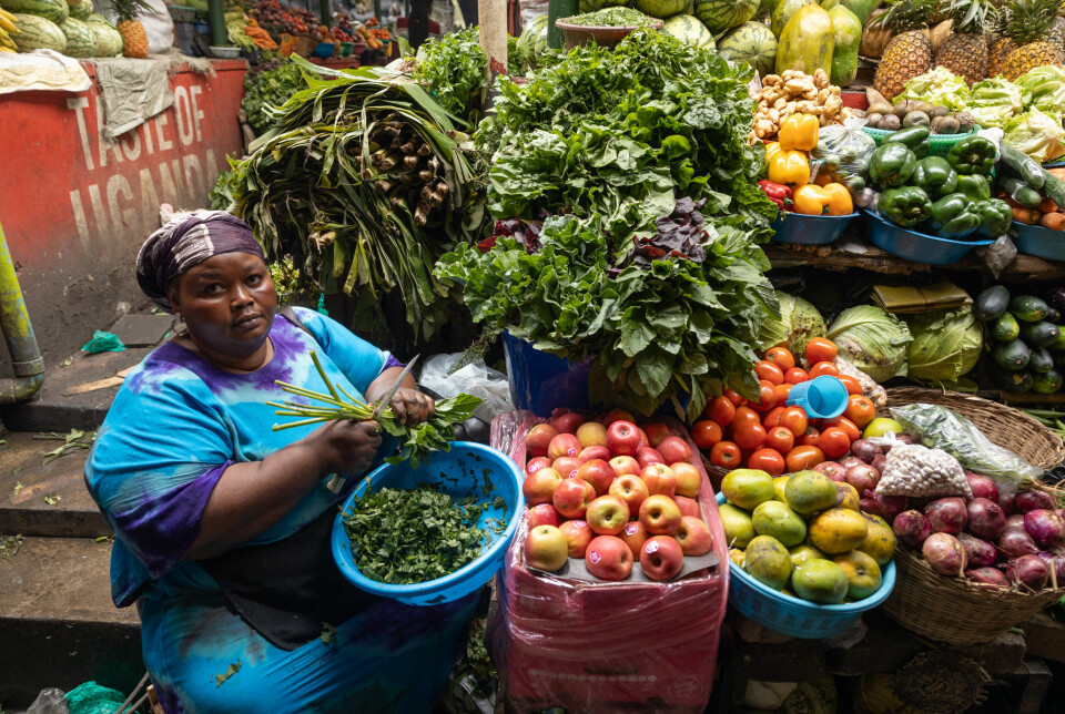 Mary Kaaya har i en årrekke solgt grønnsaker på Kasanga-markedet. Gata er nå ryddet for gateselgere og de aldre fleste har mistet jobben. Nå selger hun grønnsaker på et marked som ikke synes fra gata, dermed er også kundene langt færre.