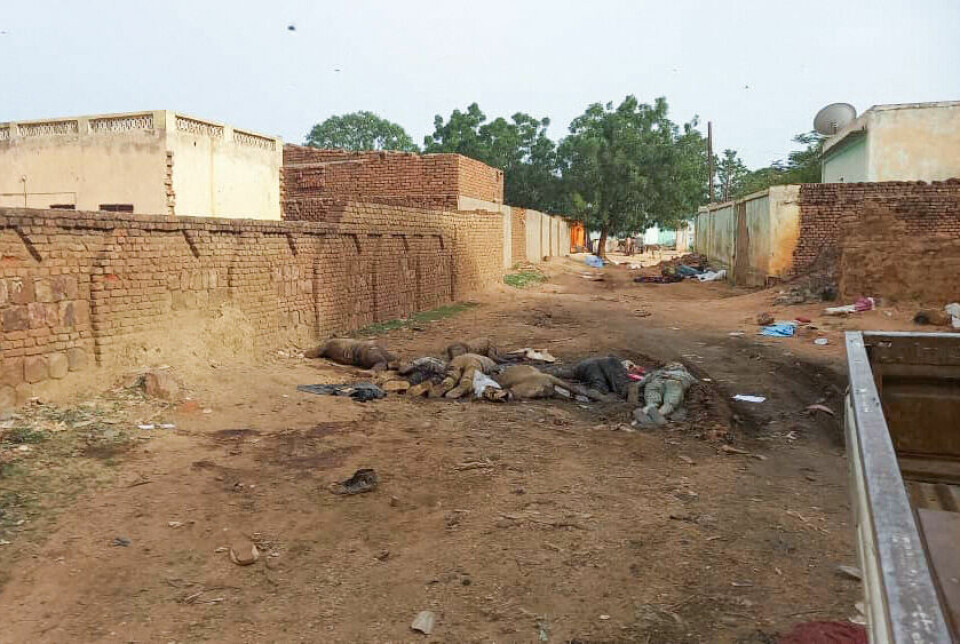 I et boligområde i byen El Geneina i Vest-Darfur ligger lik av mennesker og dyr. Bildet er tatt 16. juni 2023 etter at den væpnede konflikten mellom de to generalene al-Burhan og Hemeti brøt ut i Sudan.