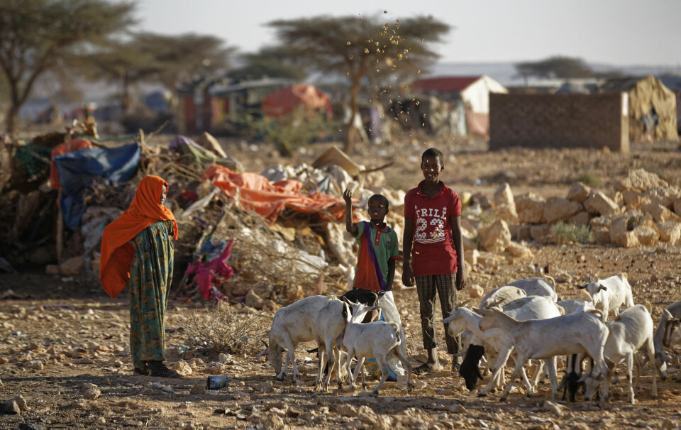 I mer enn tre tiår har Somalia vært preget av konflikt og enorm fattigdom. Gjennom en rekke organisasjoner har Norge et stort bistandsengasjement i landet der halve befolkningen nå trenger nødhjelp. Bildet er fra en leir for internt fordrevne Qardho, Puntland.