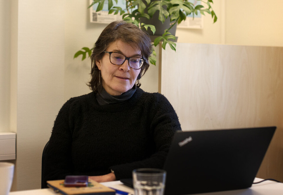Elin Ranum, programsjef i Utviklingsfondet.
