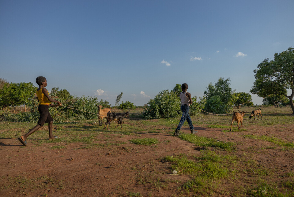 Mer flom og tørke har bidratt til at situasjonen for malawiske småbønder er blitt vanskeligere de siste årene. Bøndene vi snakket med i Malawi fortalte at barna som regel gikk på skolen uten å spise. En del dager gikk de ikke på skolen i det hele tatt, de måtte hjelpe til hjemme i stedet.