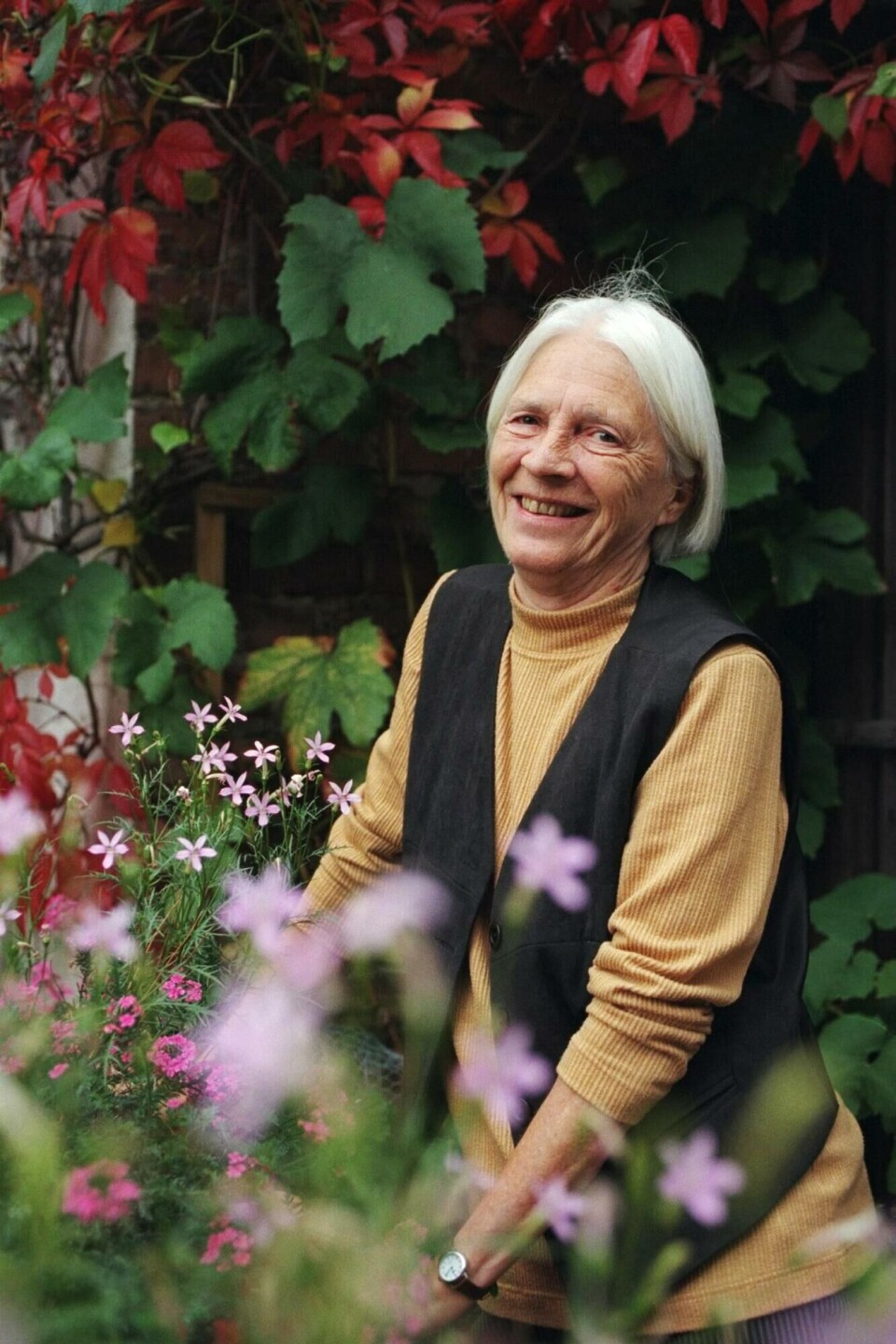 Den botanikkinteresserte eks-statsråden Vesla Vetlesen ble fotografert av NTB på sin 70-årsdag.