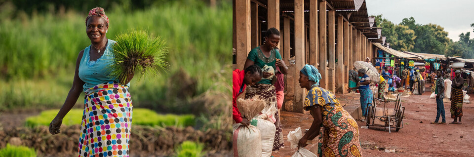 Gjennom det IDA-finansierte prosjektet Emergency Food Security Response har Tatiana Komanda og mer enn 583.000 bønder i Den sentralafrikanske republikk fått såkorn, gjødsel, jordbruksverktøy og opplæring i landbruksteknikker. Som et resultat av IDA-prosjektet, ble lokal matproduksjon, ifølge Verdensbanken, nesten firedoblet, fra 28.000 tonn i september 2022 til rundt 113.000 tonn i september 2024.