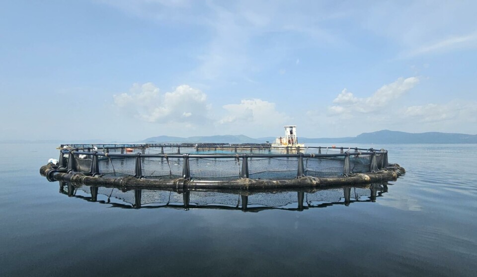 Et av anleggene til Tropo Farms i Ghana.