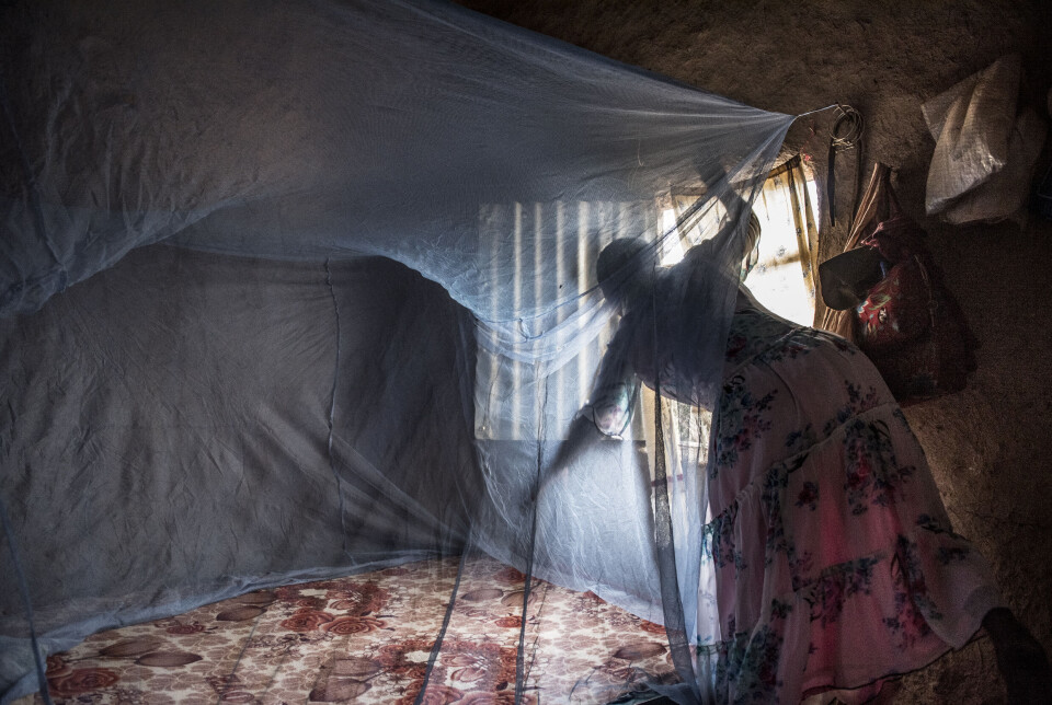 En etiopisk kvinne henger opp et malarianett i landets Amhara-region. Nettene kan holde myggen unna og dermed minske sjansen for malariasmitte, særlig om de behandles med insektmiddel.