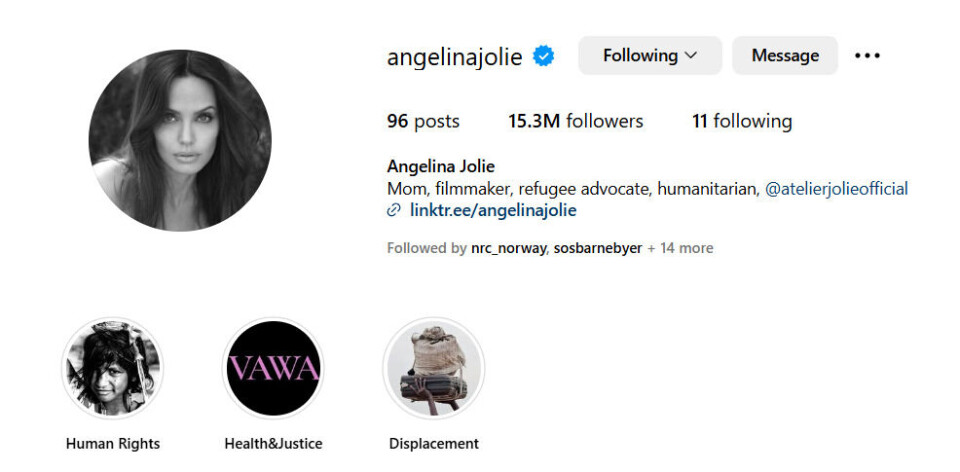 Slik presenterer Angelina Jolie seg på sin egen Instagram-konto.