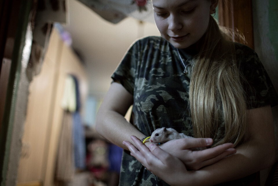 Storfamilien Volkova bor trangt, men hamsteren «Yusia», som barna har fått i gave fra andre internflyktninger, er blitt en god venn for Sofiia (16).