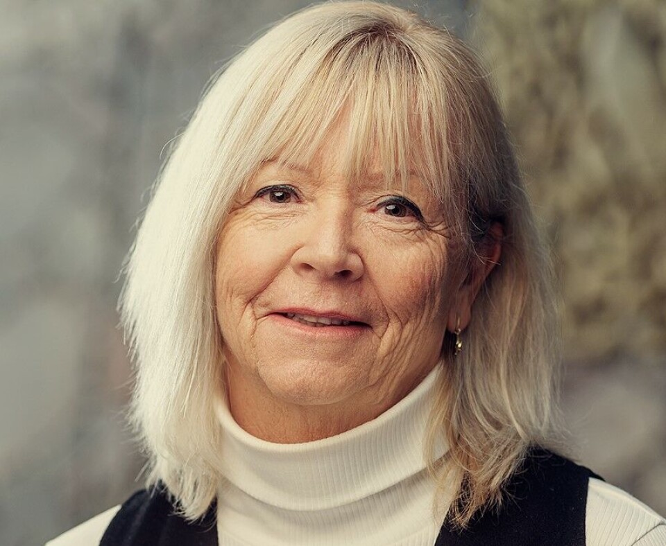 Lise Stensrud, fagdirektør for styresett i Norad