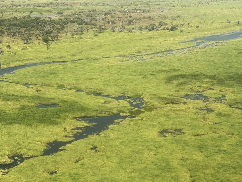 Lanskapet mellom Juba og Malakal endrer seg fra grønt og frodig langs Nilens bredder til knusktørr jord.