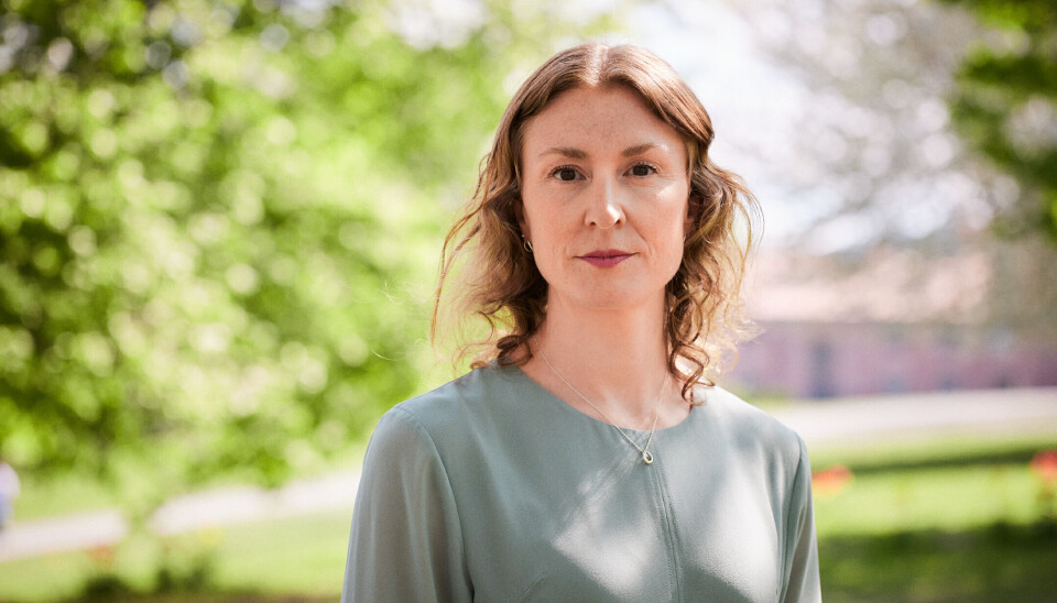 Sunniva Holmås Eidsvoll, leder i Oslo SV og stortingskandidat.